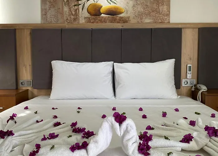 Hotel Aristo 2 Butik *